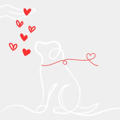 Untitled design 4 Thumbnail