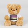Bear in a t-shirt Thumbnail