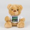 Bear in a t-shirt Thumbnail