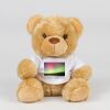Bear in a t-shirt Thumbnail