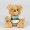 Bear in a t-shirt Thumbnail